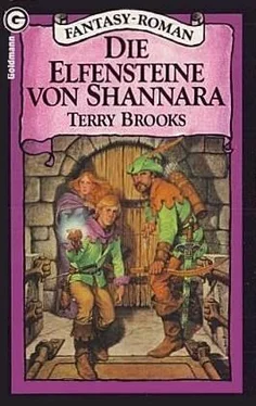 Terry Brooks Die Elfensteine von Shannara обложка книги