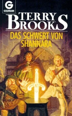 Terry Brooks Das Schwert von Shannara обложка книги