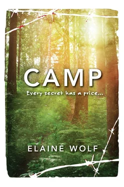 Elaine Wolf Camp обложка книги