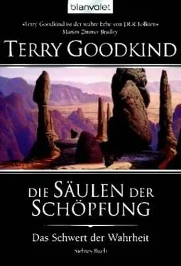 Terry Goodkind Die Säulen der Schöpfung обложка книги