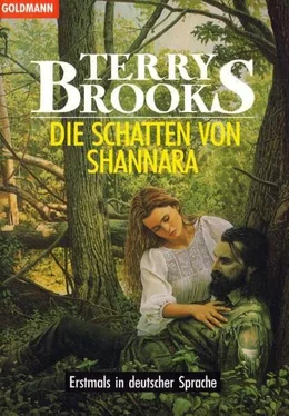 Terry Brooks Die Schatten von Shannara обложка книги