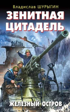 Владислав Шурыгин Зенитная цитадель. «Не тронь меня!» обложка книги