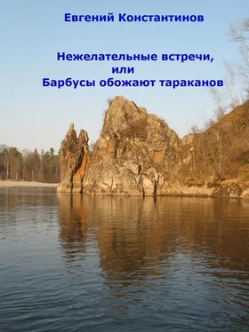 Евгений Константинов Нежелательные встречи, или Барбусы обожают тараканов (сборник) обложка книги