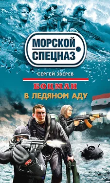 Сергей Зверев В ледяном аду обложка книги