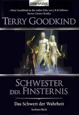 Terry Goodkind Schwester der Finsternis обложка книги