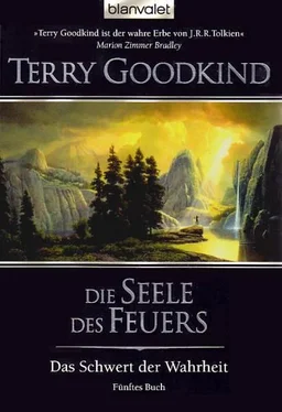 Terry Goodkind Die Seele des Feuers обложка книги