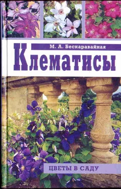 Маргарита Бескаравайная Клематисы обложка книги