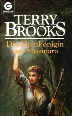 Terry Brooks Die Elfenkönigin von Shannara обложка книги