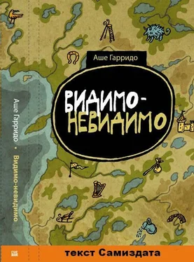 Аше Гарридо Видимо-невидимо обложка книги