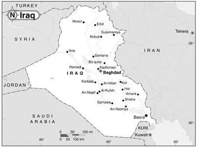 CHAPTER EIGHT CENTCOM IRAQ SPRING 2004 WITH NOTES ON NICARAGUA AND VIETNAM - фото 10