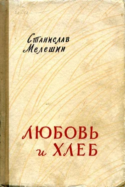 Станислав Мелешин Любовь и хлеб обложка книги