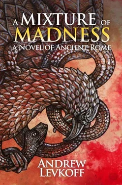 Andrew Levkoff A Mixture of Madness обложка книги