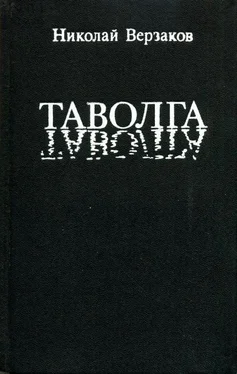 Николай Верзаков Таволга обложка книги
