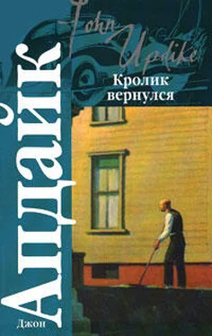 Джон Апдайк Кролик вернулся обложка книги