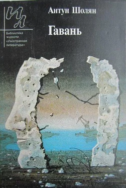 Антун Шолян Гавань обложка книги