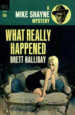 Brett Halliday What Really Happened обложка книги