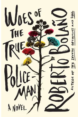 Roberto Bolano Woes of the True Policeman обложка книги
