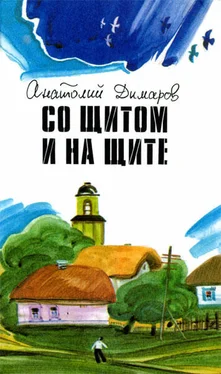 Анатолий Димаров Со щитом и на щите обложка книги