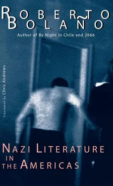 Roberto Bolano Nazi Literature in the Americas обложка книги