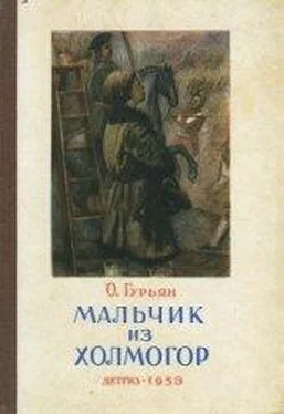 Ольга Гурьян Мальчик из Холмогор (1953) обложка книги