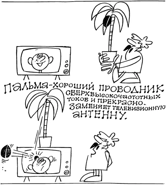 Казалось бы место фитохрома наверху в наземной части растений но природа не - фото 26