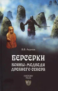 Вольфганг Акунов Берсерки обложка книги