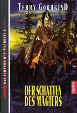 Terry Goodkind Der Schatten des Magiers обложка книги