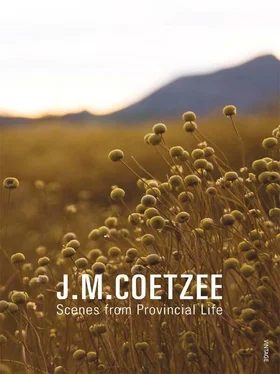 John Coetzee Scenes from Provincial Life обложка книги