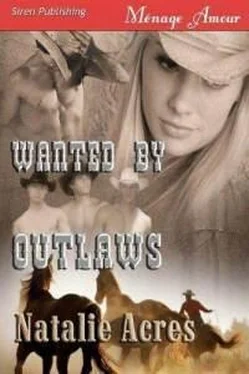 Natalie Acres Wanted by outlaws обложка книги