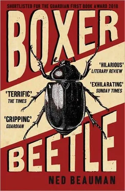 Ned Beauman Boxer, Beetle обложка книги