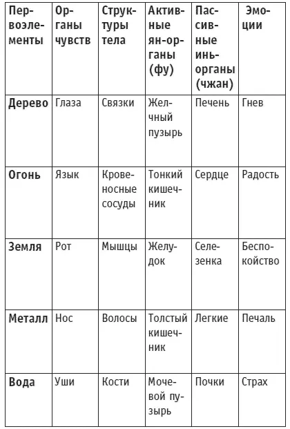 Всего существует четыре вида меридианов 1 Главные или основные из которых - фото 26