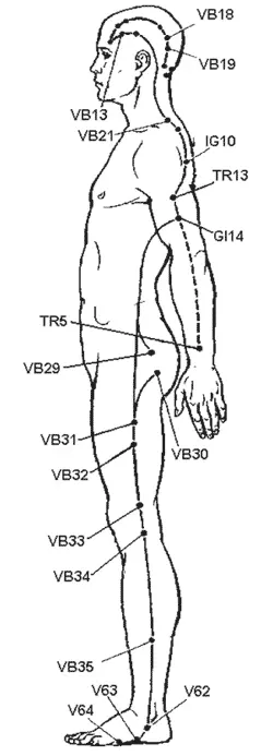 Рис 29 Чудесный меридиан III янвэймай Точки чудесных меридианов V - фото 30