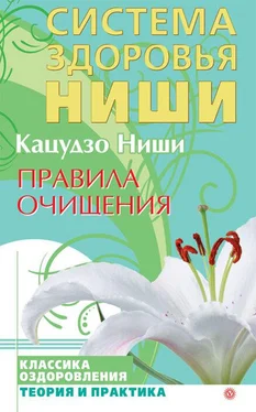 Кацудзо Ниши Правила очищения обложка книги