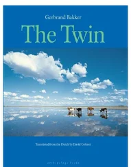 Gerband Bakker - The Twin