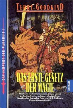 Terry Goodkind Das erste Gesetz der Magie обложка книги