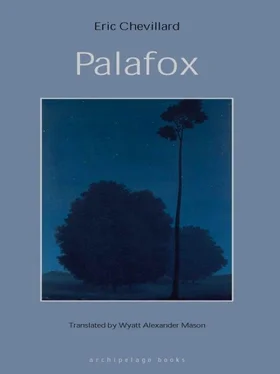 Eric Chevillard Palafox обложка книги