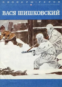 Станислав Чумаков Вася Шишковский обложка книги