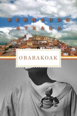 Bernardo Atxaga Obabakoak обложка книги