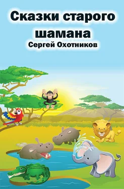 Сергей Охотников Сказки старого шамана обложка книги