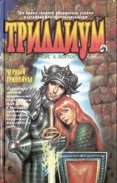 Андрэ Нортон Чёрный Триллиум обложка книги