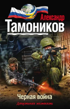 Александр Тамоников Черная война обложка книги