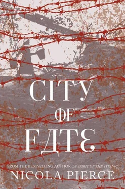 Nicola Pierce City of Fate обложка книги