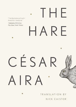 Cesar Aira The Hare обложка книги