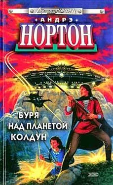 Андрэ Нортон Буря над колдуном обложка книги