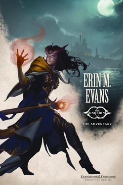 Erin Evans The Adversary