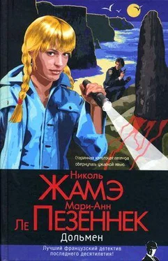 Николь Жамэ Дольмен обложка книги