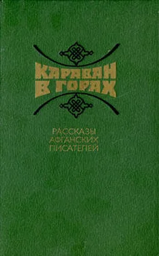 Зарин Андзор Караван в горах. Рассказы афганских писателей обложка книги