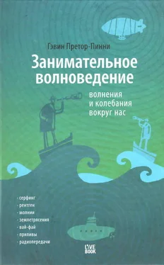 Гэвин Претор-Пинни Занимательное волноведение. Волненя и колебания вокруг нас обложка книги