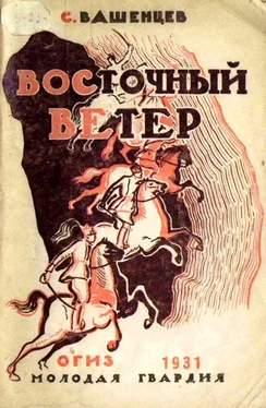 Сергей Вашенцев Восточный ветер обложка книги