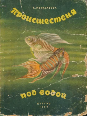 Ксения Меркульева Происшествия под водой обложка книги